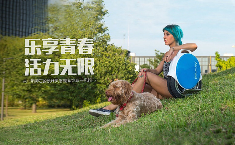 爱尔威代步车