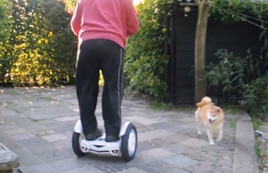当柴犬遇上爱骑爱尔威Airwheel平衡车S3的主人……